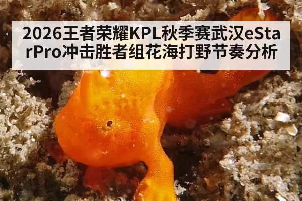 2026王者荣耀KPL秋季赛武汉eStarPro冲击胜者组花海打野节奏分析